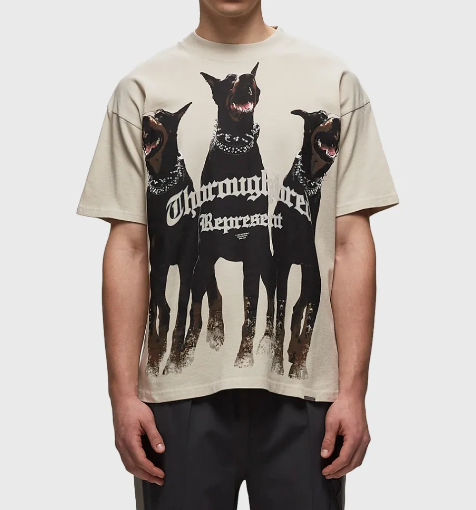 Represent - Thoroughbred